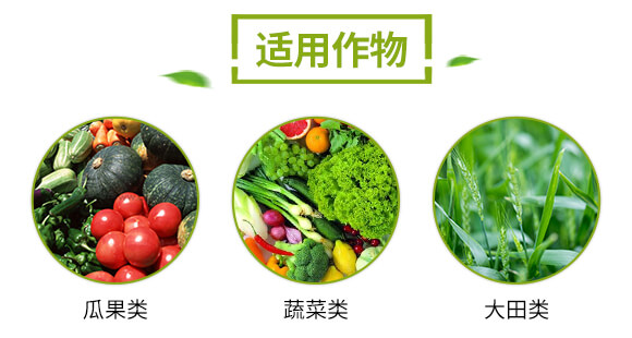 果多多-萬(wàn)代富田_04